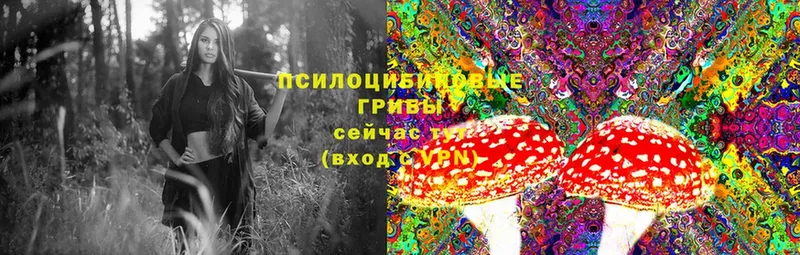 блэк спрут сайт  Каменск-Шахтинский  Псилоцибиновые грибы Psilocybine cubensis  что такое  